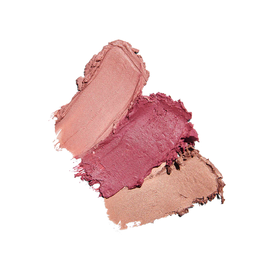 Sunforgettable® Total Protection™ Color Balm SPF 50 Collection - Slika 5
